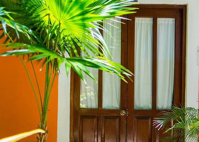 Casa De Flores